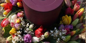 Beitragsbild des Blogbeitrags Nachhaltige Bestattungsformen, gibt es das?