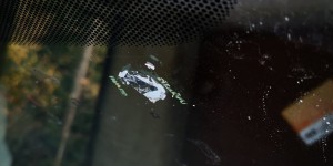 Beitragsbild des Blogbeitrags Quickie: Vignettenkleber? Nein danke!
