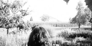 Beitragsbild des Blogbeitrags thoughts…..
