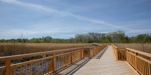 Beitragsbild des Blogbeitrags Tagesausflug in den Nationalpark Donau Aue in Wien 