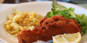 Beitragsbild des Blogbeitrags Adler in Hohenems