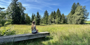 Beitragsbild des Blogbeitrags Moore Vorarlberg