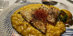 Beitragsbild des Blogbeitrags Schäfle Altenstadt