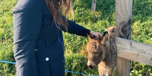 Beitragsbild des Blogbeitrags Hotel Pfösl | Wellness- und Aktivurlaub in Südtirol 