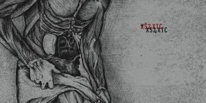 Beitragsbild des Blogbeitrags Almøst Human – XS2XTC – Schweizer Wundertüte – CD Review