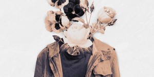 Beitragsbild des Blogbeitrags CHIEFLAND – Wildflowers – Ein großer Bund Emotionen – Album Review