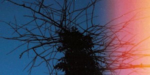 Beitragsbild des Blogbeitrags We Too, Will Fade – Enough – Die zwei Seiten der Medaille – EP-Review