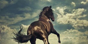 Beitragsbild des Blogbeitrags BRUCE SPRINGSTEEN – neues Album „WESTERN STARS“ am 14.06.19 – Neues Video „HELLO SUNSHINE“ online