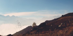 Beitragsbild des Blogbeitrags RAMA – Everything is one – Desertrock – Album Review