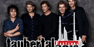Beitragsbild des Blogbeitrags Das Taubertal Festival 2019 lässt die Katze aus dem Sack! DIE TOTEN HOSEN KOMMEN! 