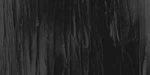 Beitragsbild des Blogbeitrags Krvvla – T – eine Reise durch die Bialowiezer Heide – Single Review