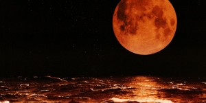 Beitragsbild des Blogbeitrags COLD CHISEL – „Blood Moon“ – Album Review