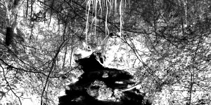 Beitragsbild des Blogbeitrags Bosque – Cleansing – Ein Album Review