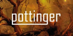 Beitragsbild des Blogbeitrags Pottinger – Awaken – Ein Album Review
