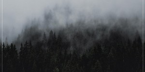 Beitragsbild des Blogbeitrags Turn The Course – Grey Skies – Abwechslungsreich und hart – EP Review