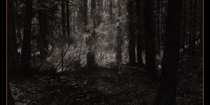 Beitragsbild des Blogbeitrags Behemoth wiederveröffentlichen Debüt EP ‚And the Forests Dream Eternally‘ 