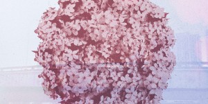 Beitragsbild des Blogbeitrags Stereokeys – Hindsight – Video Premiere