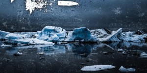 Beitragsbild des Blogbeitrags Ammo – Cold Sick Life – Ein Album Review