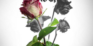 Beitragsbild des Blogbeitrags Im Lockdown gegründet: TRAITORS TO THE CROWN veröffentlichen Debüt Single