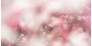 Beitragsbild des Blogbeitrags We Too, Will Fade – Everything Falls Apart As It Should – EP Review
