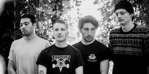 Beitragsbild des Blogbeitrags We Too, Will Fade – Das Interview zu EFAAIS