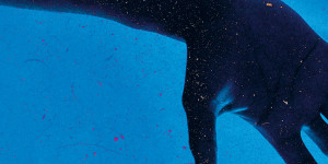 Beitragsbild des Blogbeitrags Mentally Blind – Stage: Zero – Album Review