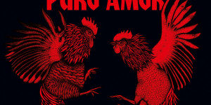 Beitragsbild des Blogbeitrags Broilers – Puro Amor – Ein Album Review 
