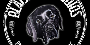 Beitragsbild des Blogbeitrags Ein Blick hinter die Kulissen des Black Dog Studios