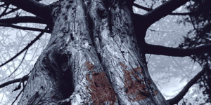 Beitragsbild des Blogbeitrags Extreme Metal-Band Sagen mit neuem Musikvideo vom kommendem Album