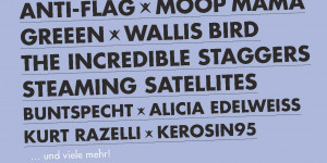 Beitragsbild des Blogbeitrags 20 + 2 Jahre picture on festival – das erste Bandpaket ist da! 