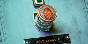 Beitragsbild des Blogbeitrags Stray From The Path – Euthanasia – Album Review