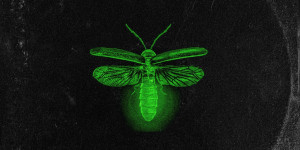 Beitragsbild des Blogbeitrags R3VO: Berliner Rockband mit neuer Single „Fireflies“ (inkl. Musikvideo) 
