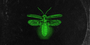 Beitragsbild des Blogbeitrags R3VO: Berliner Rockband mit neuer Single „Fireflies“ (inkl. Musikvideo)