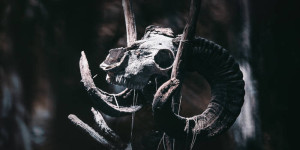 Beitragsbild des Blogbeitrags NEMOREUS – ORCUNADORAS – fetter Folk Metal aus Österreich