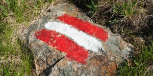 Beitragsbild des Blogbeitrags B(r)uchstücke XIII – I am from Austria