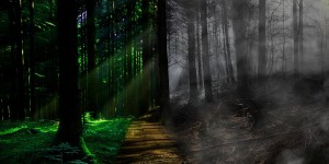 Beitragsbild des Blogbeitrags B(r)uchstücke XXXV – Voll Leben und voll Tod ist diese Erde…