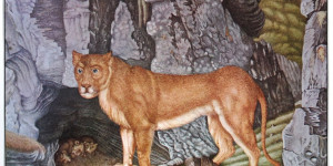Beitragsbild des Blogbeitrags Das Bestiarium des Aloys Zötl