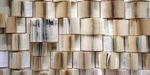 Beitragsbild des Blogbeitrags B(r)uchstücke der Literatur LXVI – 1900-1950
