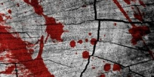 Beitragsbild des Blogbeitrags Ein paar positive Worte von... Nina Casement 