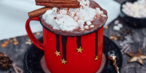 Beitragsbild des Blogbeitrags Heiße Schokolade ohne Zucker – Weihnachtlich mit Zimt 