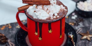Beitragsbild des Blogbeitrags Heiße Schokolade ohne Zucker – Weihnachtlich mit Zimt