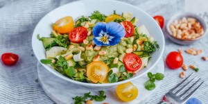 Beitragsbild des Blogbeitrags Zucchini Spaghetti mit Avocado Pesto – vegan & keto 