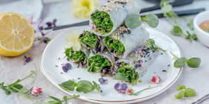 Beitragsbild des Blogbeitrags Sommerrollen mit Microgreens – Nährstoffe aus Sprossen!