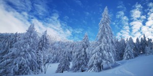 Beitragsbild des Blogbeitrags Karleck - herrliche Skitour für jedes Wetter 