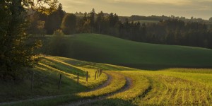 Beitragsbild des Blogbeitrags Das Mühlviertel – sanfte Hügel, saftige Wiesen und kristallklare Bäche 