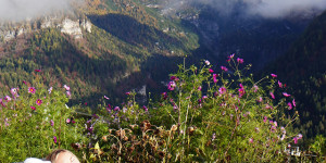 Beitragsbild des Blogbeitrags Herbstzauber in Madonna di Campiglio 