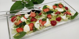 Beitragsbild des Blogbeitrags Erdbeer-Fenchel-Salat mit Mozzarella