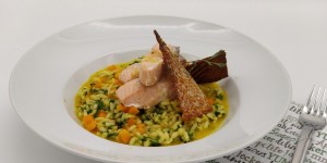 Beitragsbild des Blogbeitrags Safran-Risotto mit Paprika, Rucola und Ofenlachs