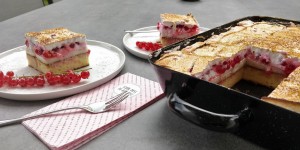 Beitragsbild des Blogbeitrags Ribiselschaumschnitte