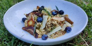 Beitragsbild des Blogbeitrags Steinpilz-Risotto